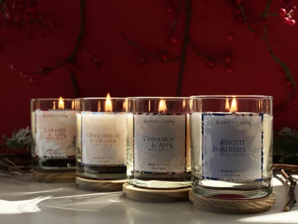 Ensemble de bougie parfumée parfait pour l'aromathérapie différents parfums avec packaging élégant en verre et boîte en carton écologique, parfait pour les cadeaux