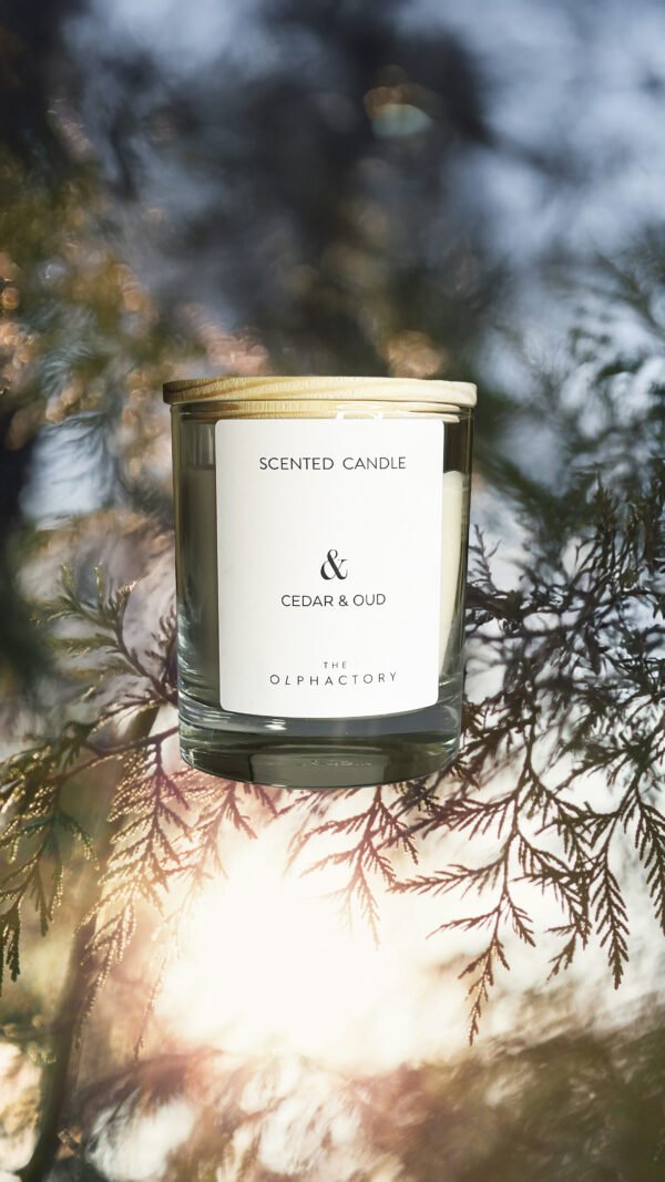 Bougie végétale artisanale parfumée au cèdre et oud, cire naturelle et mèche en coton.